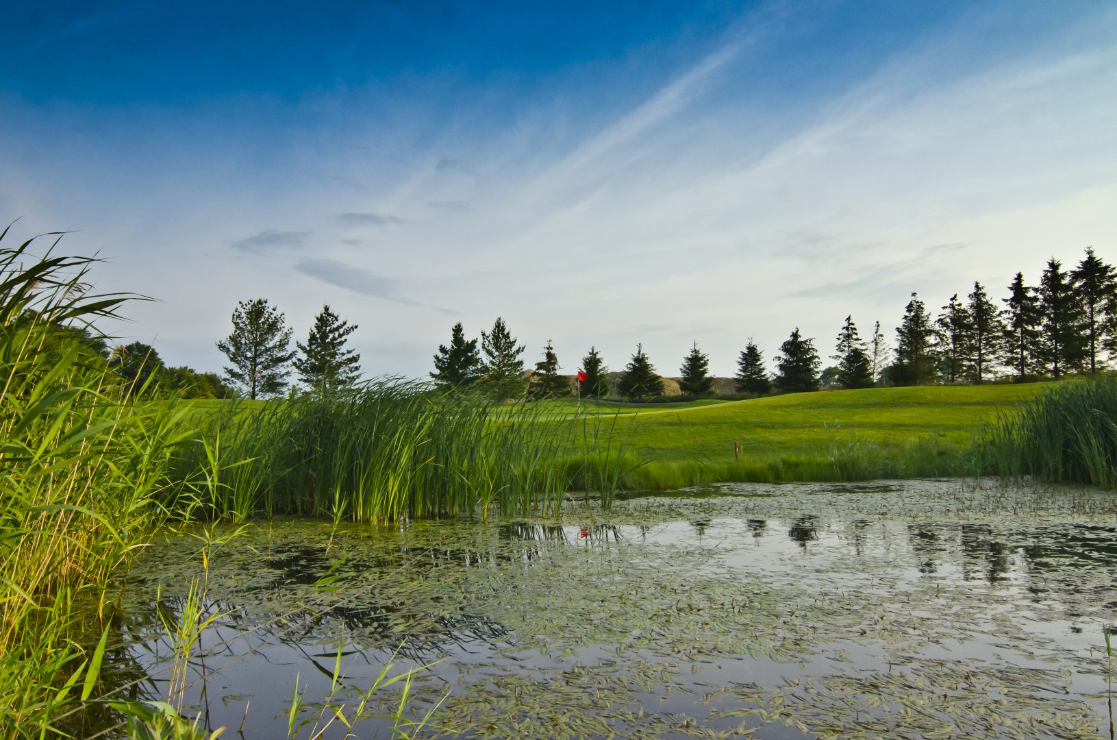 Sally Creek Golf A Public Golf Course with a Private Atmosphere