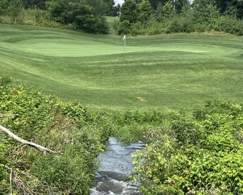 Sally 1st green river